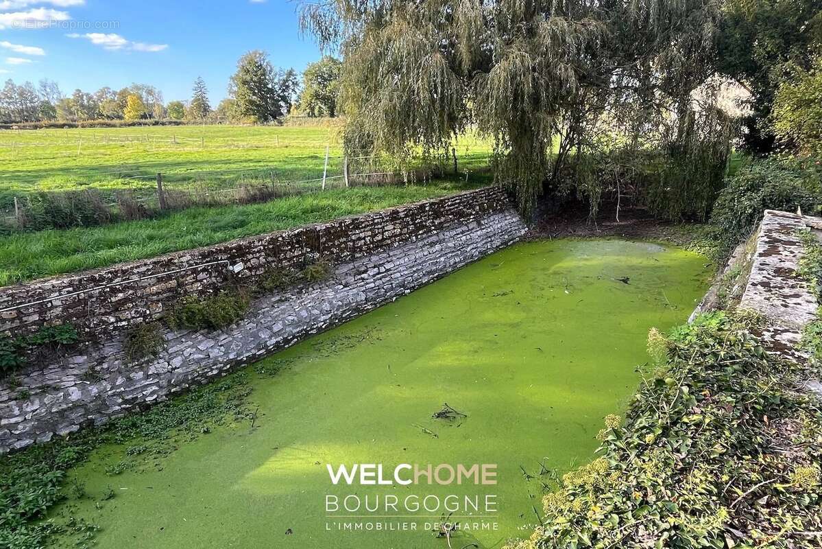 Maison à MARS-SUR-ALLIER
