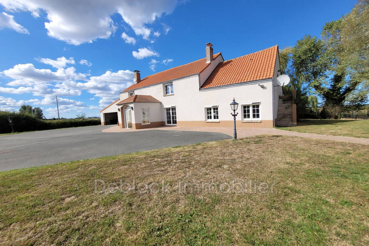 Maison à QUAEDYPRE