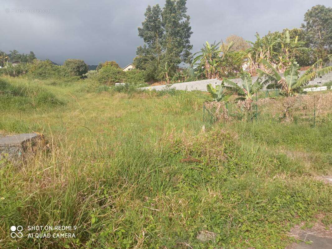 Terrain  790 m2  constructible et viabilisé situé au Plate St Leu 97424 - photo 2