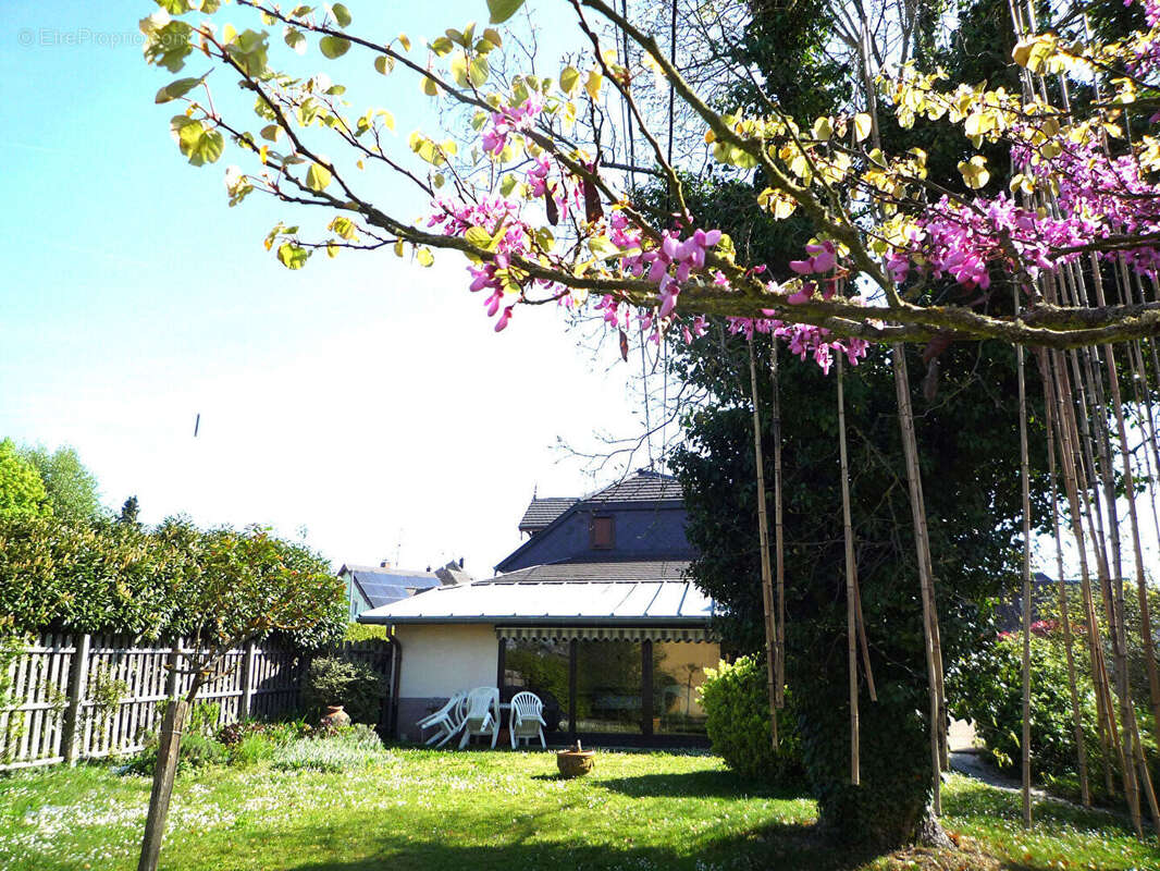 Maison à MORSCHWILLER-LE-BAS