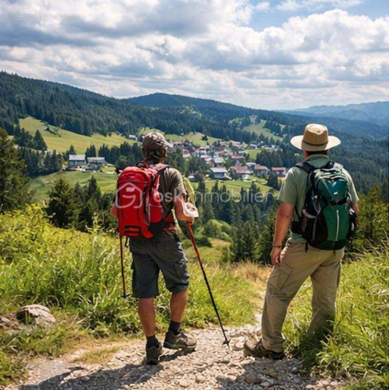 Commerce à LA PESSE