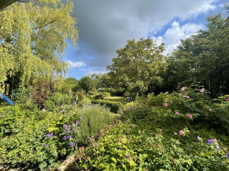 Maison à LOTTINGHEN