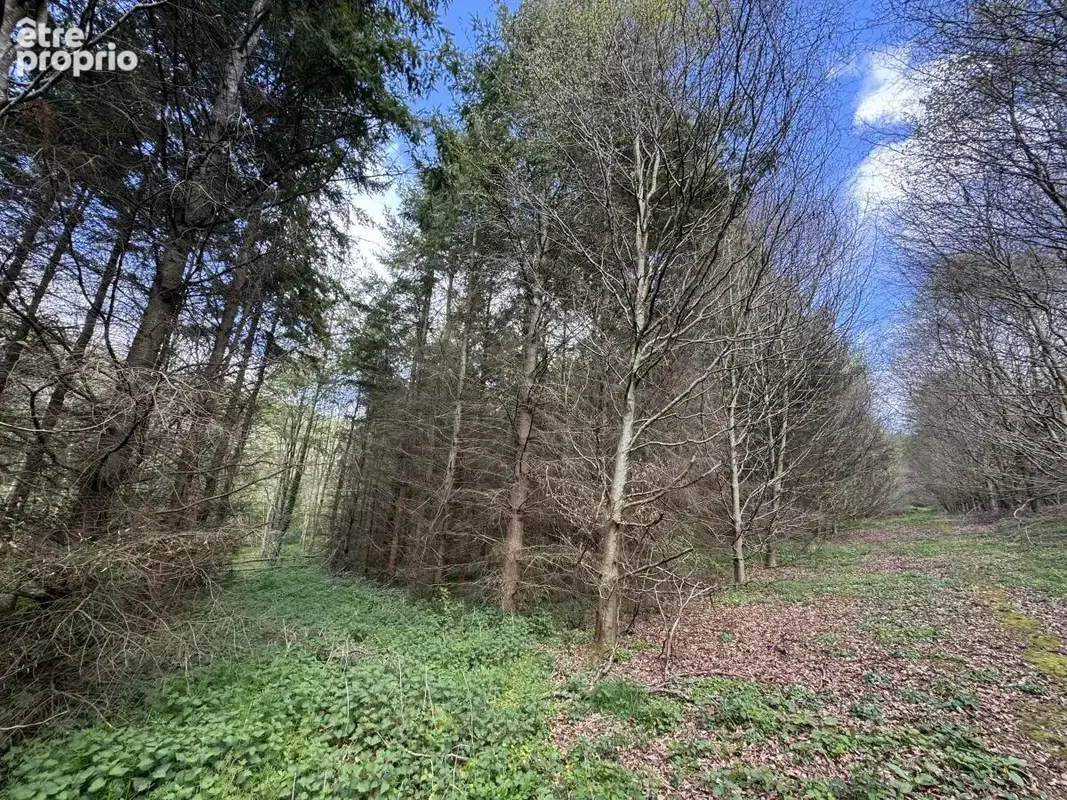 Terrain 118 110 m² à vendre à La Vespiere (14290) - photo 5