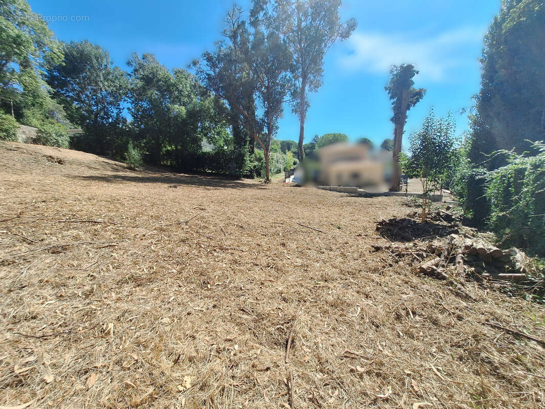 Terrain à SAINT-PAUL