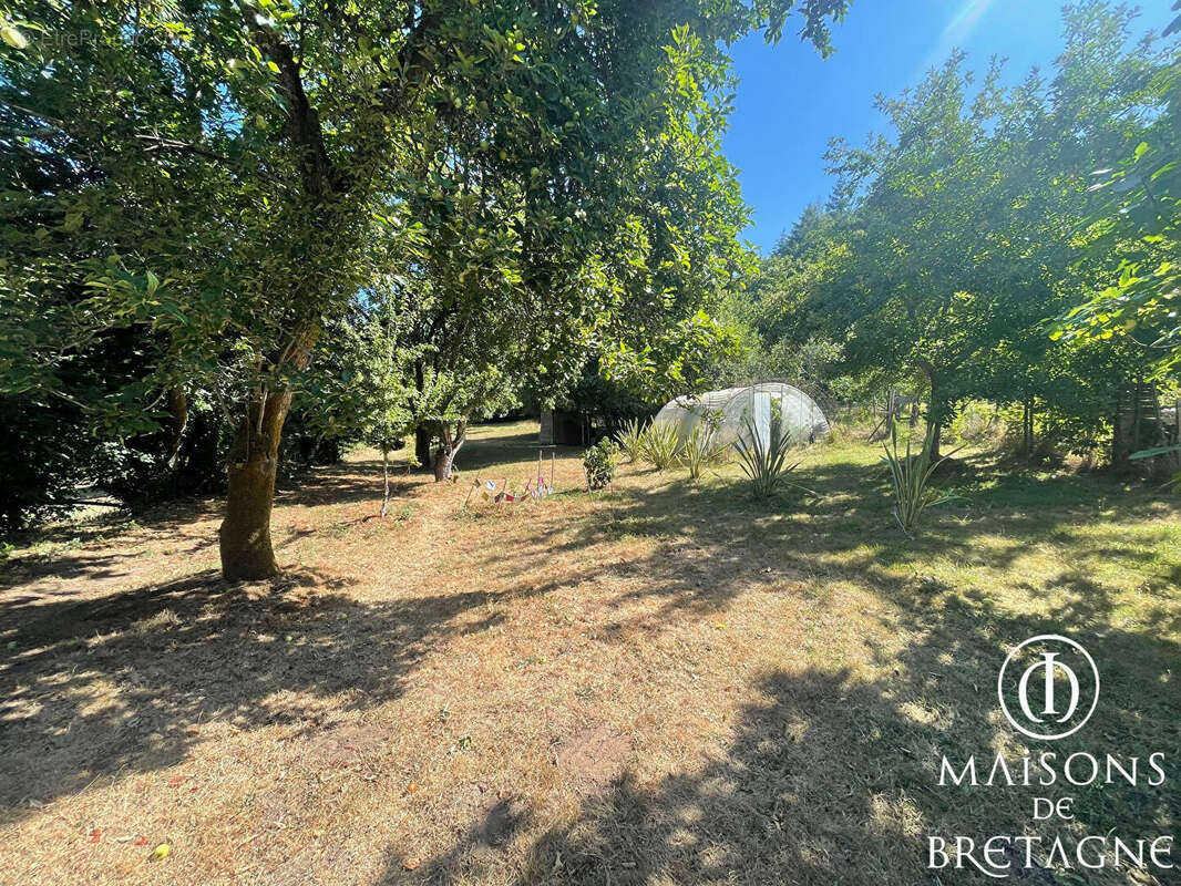 Maison et dépendance à Bannalec, sur un terrain de 1,7 hectare. - photo 11