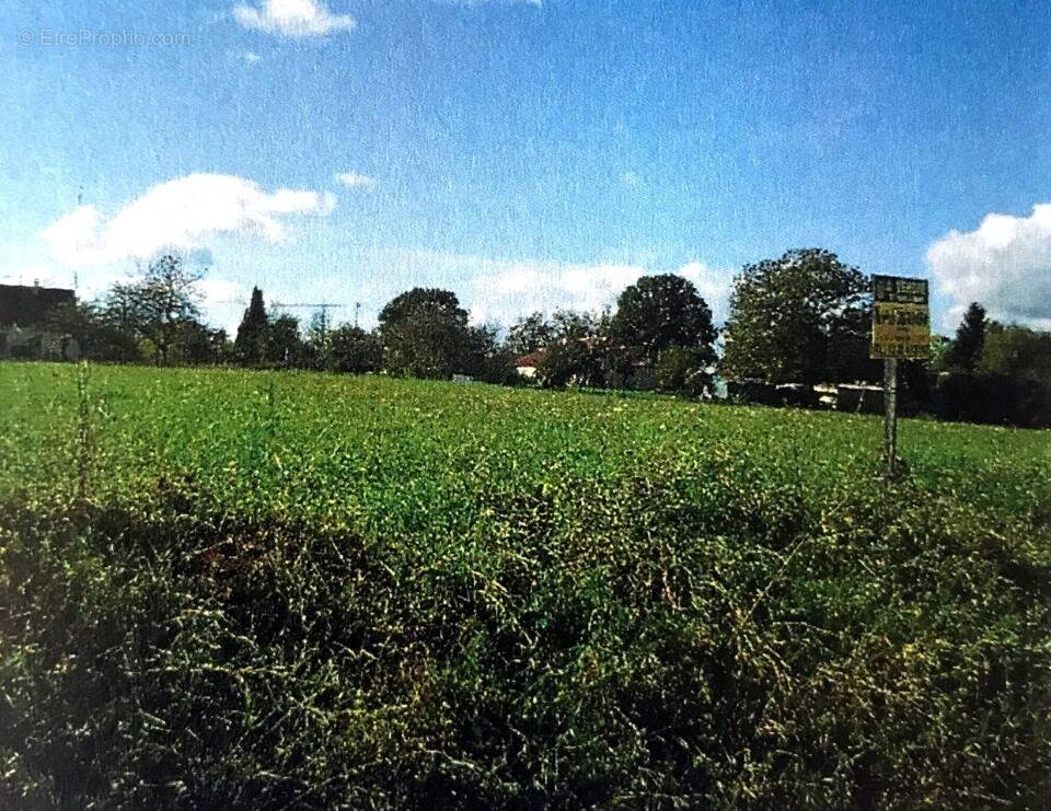 Terrain à CHALAUTRE-LA-PETITE