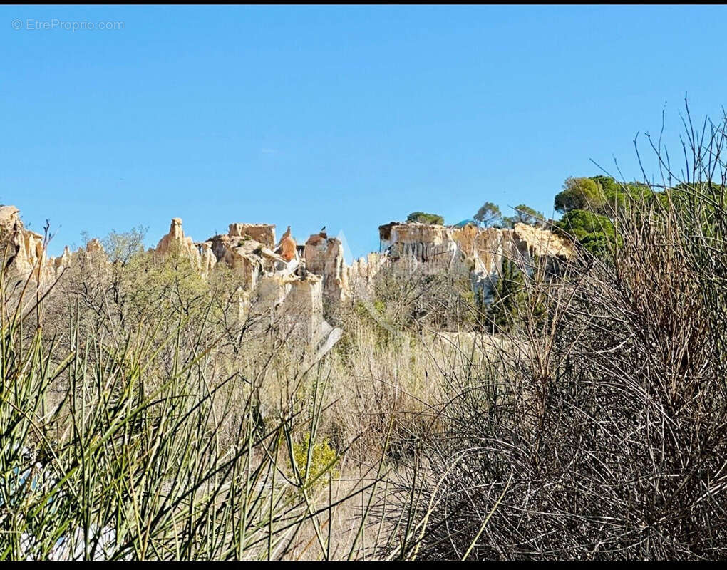 Terrain à ILLE-SUR-TET
