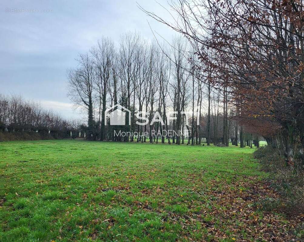 Photo 2 - Terrain à POMMIER