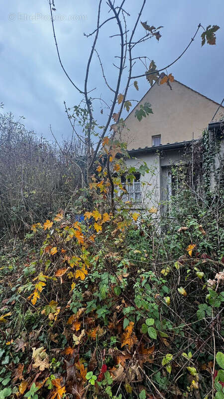 Terrain à CREPY-EN-VALOIS