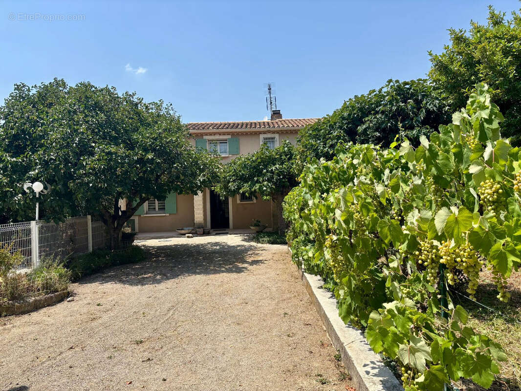 Sainte-cécile-les-vignes villa avec piscine - photo 27