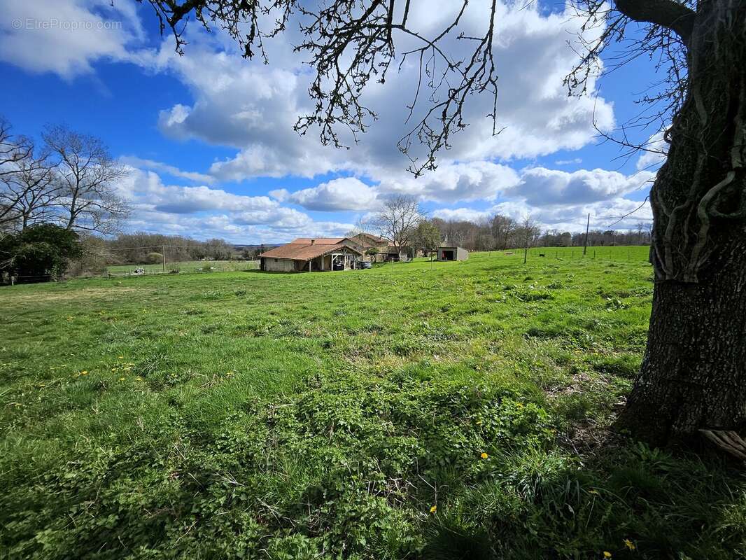 n°6 - Maison à CHALUS