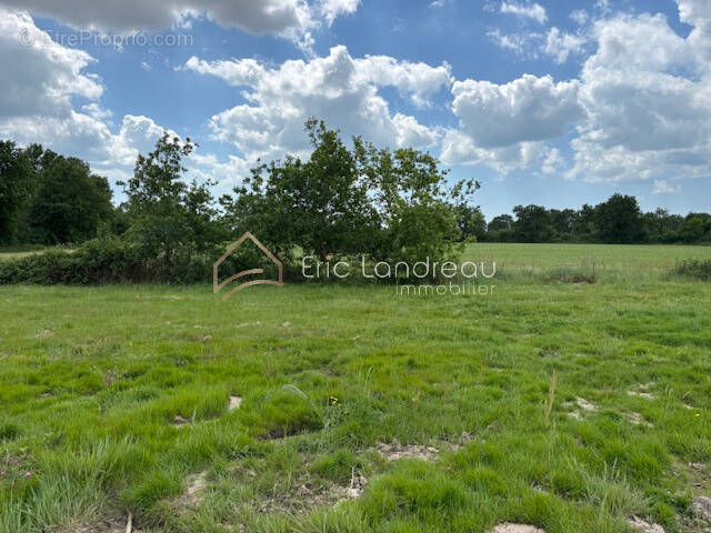 Terrain à TALMONT-SAINT-HILAIRE