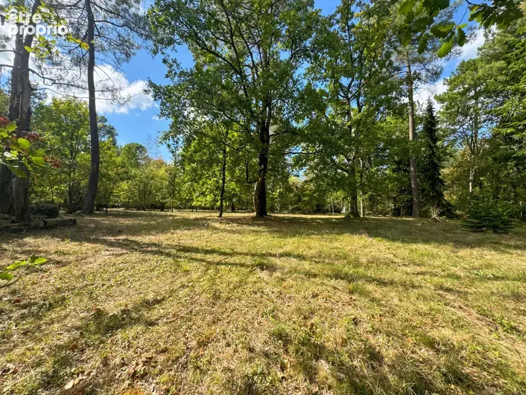 Chancelade – propriété de caractère aux volumes remarquables, au cœur d’un parc clos de 1,5 hectare - photo 25