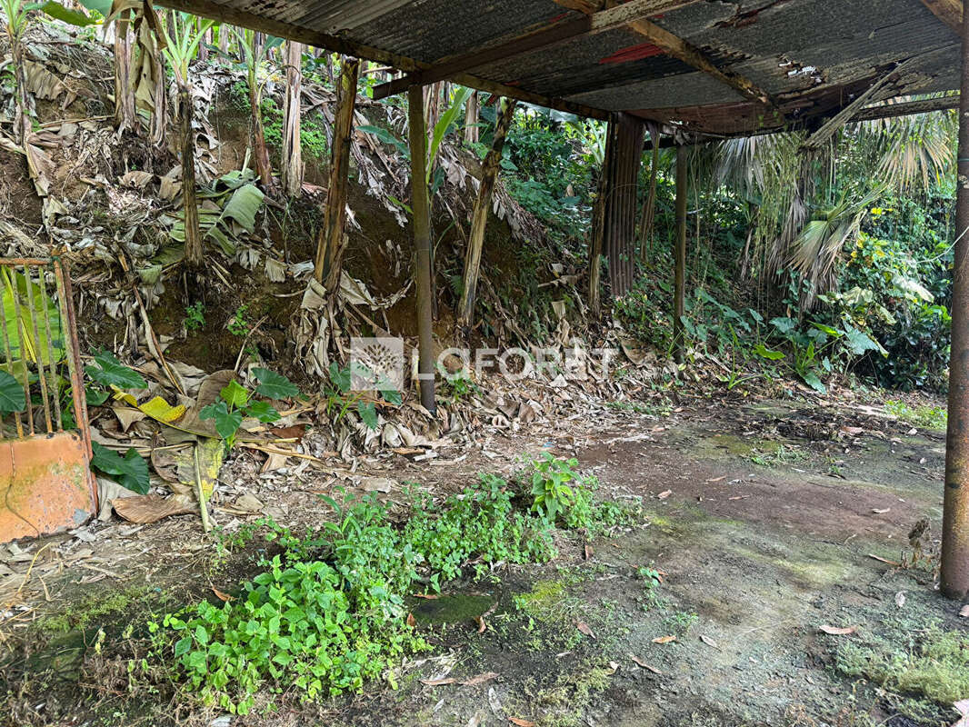 Terrain à LE LORRAIN
