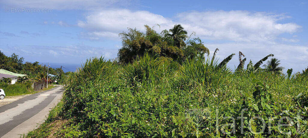 Terrain à CAPESTERRE-BELLE-EAU