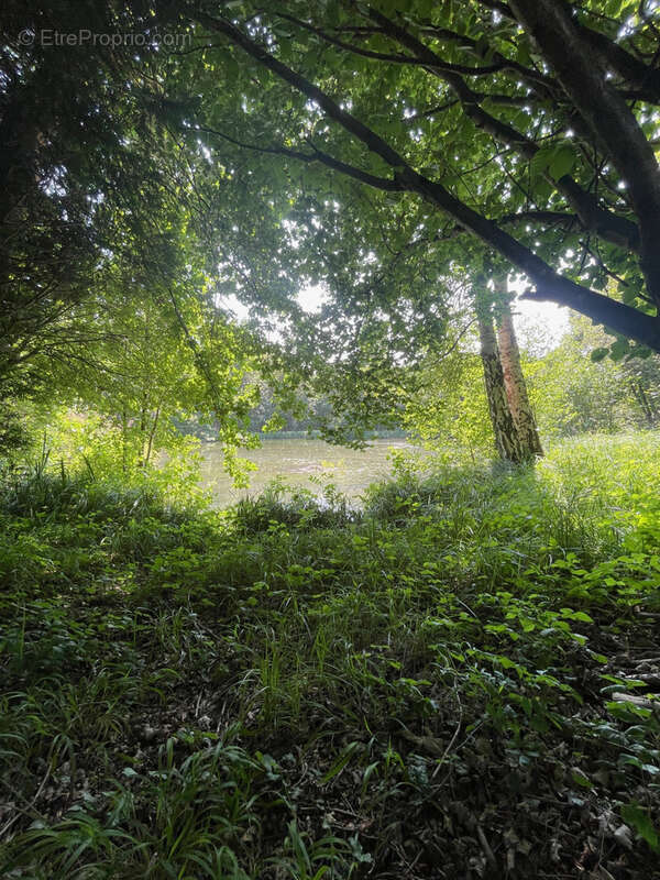 Terrain à FLIXECOURT