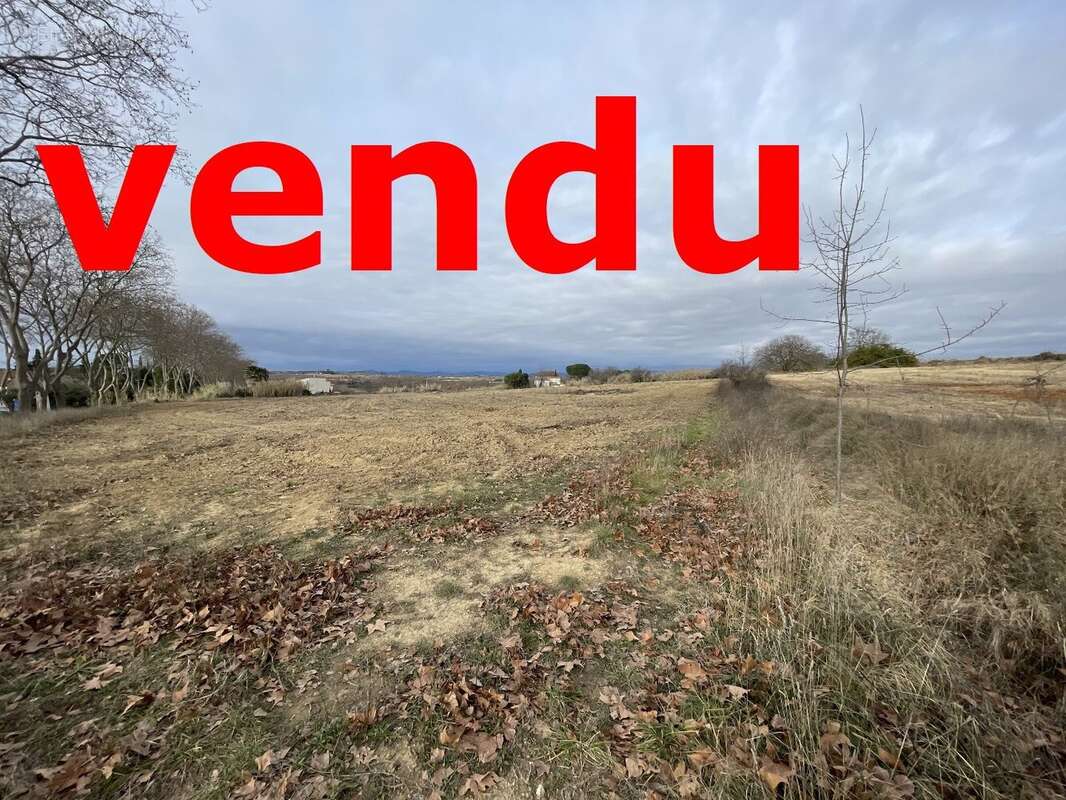 Terrain à BASSAN