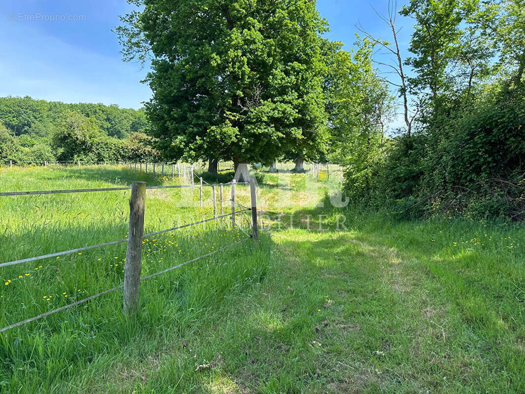 Maison à LE MELE-SUR-SARTHE