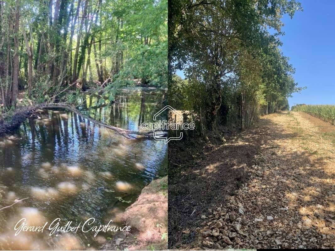 Étang à vendre - photo 3
