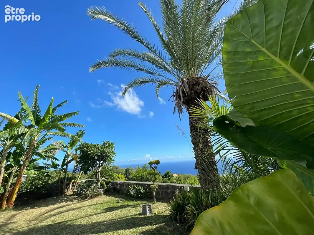 Photo Maison à Saint-Leu au prix de 500 000€