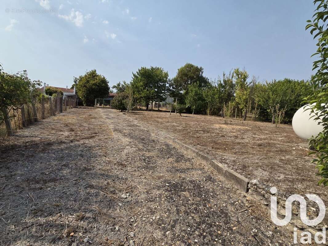 Photo 9 - Maison à SAINT-FORT-SUR-GIRONDE