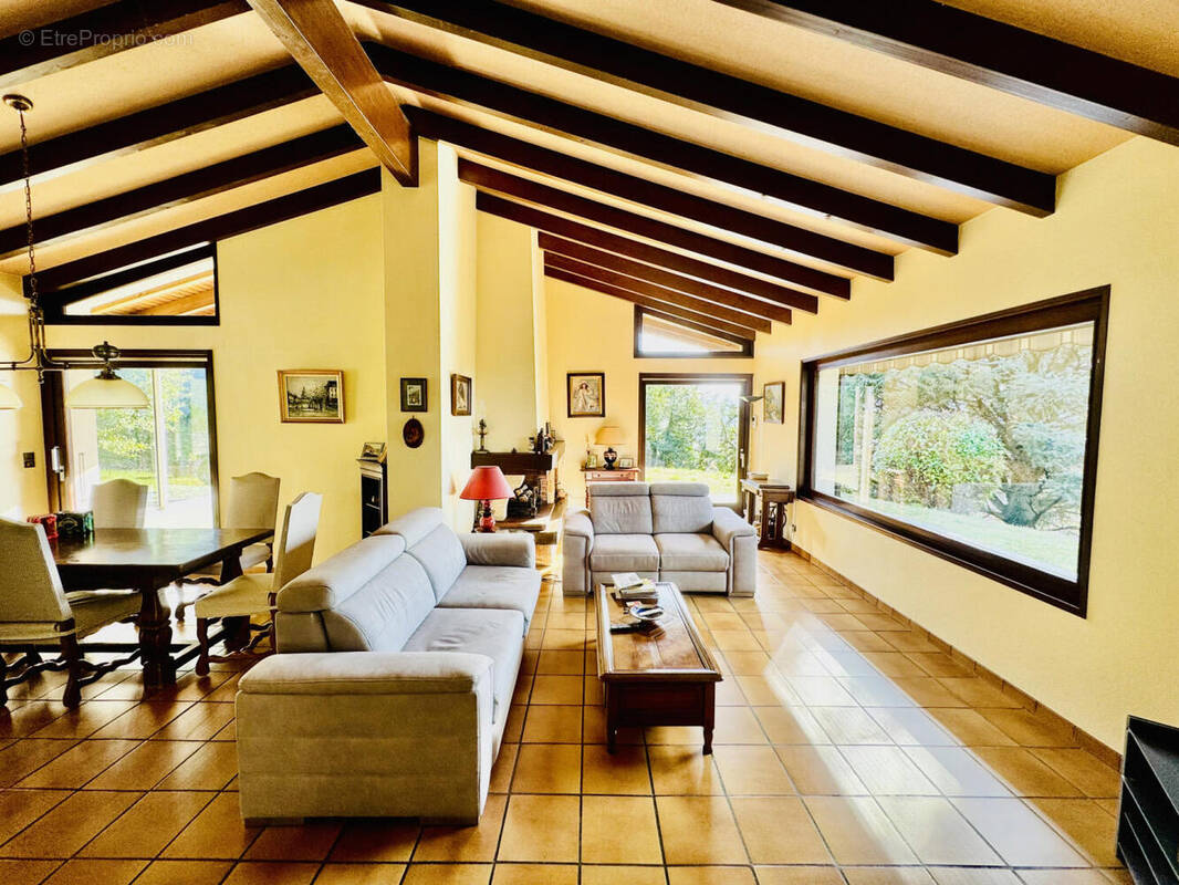 salon (5) - Maison à VETRAZ-MONTHOUX