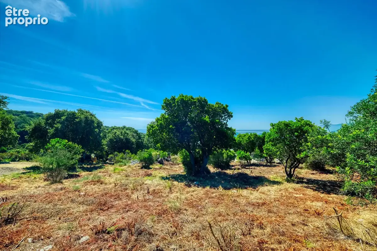 Terrain 3600m² à bastia - photo 6