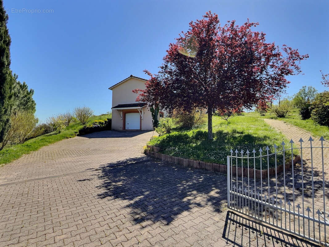 Maison à LAVAUR