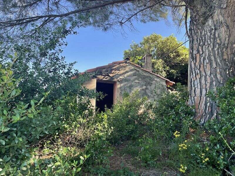 Terrain à COLLIOURE