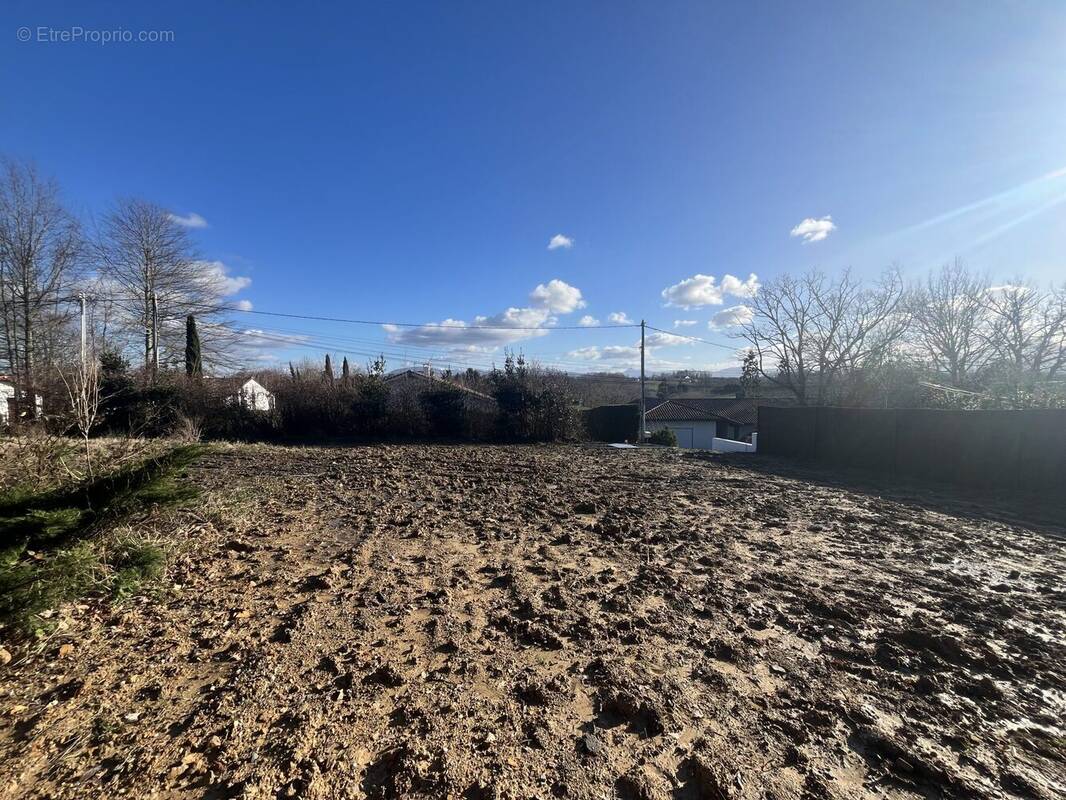 Terrain à ARBONNE