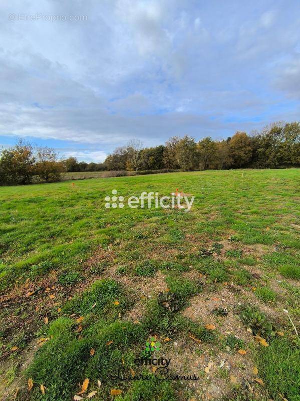 Terrain à TALMONT-SAINT-HILAIRE