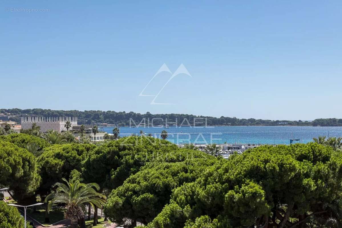 Cannes Croisette - Appartement 3 pièces vue mer exceptionnelle - photo 4