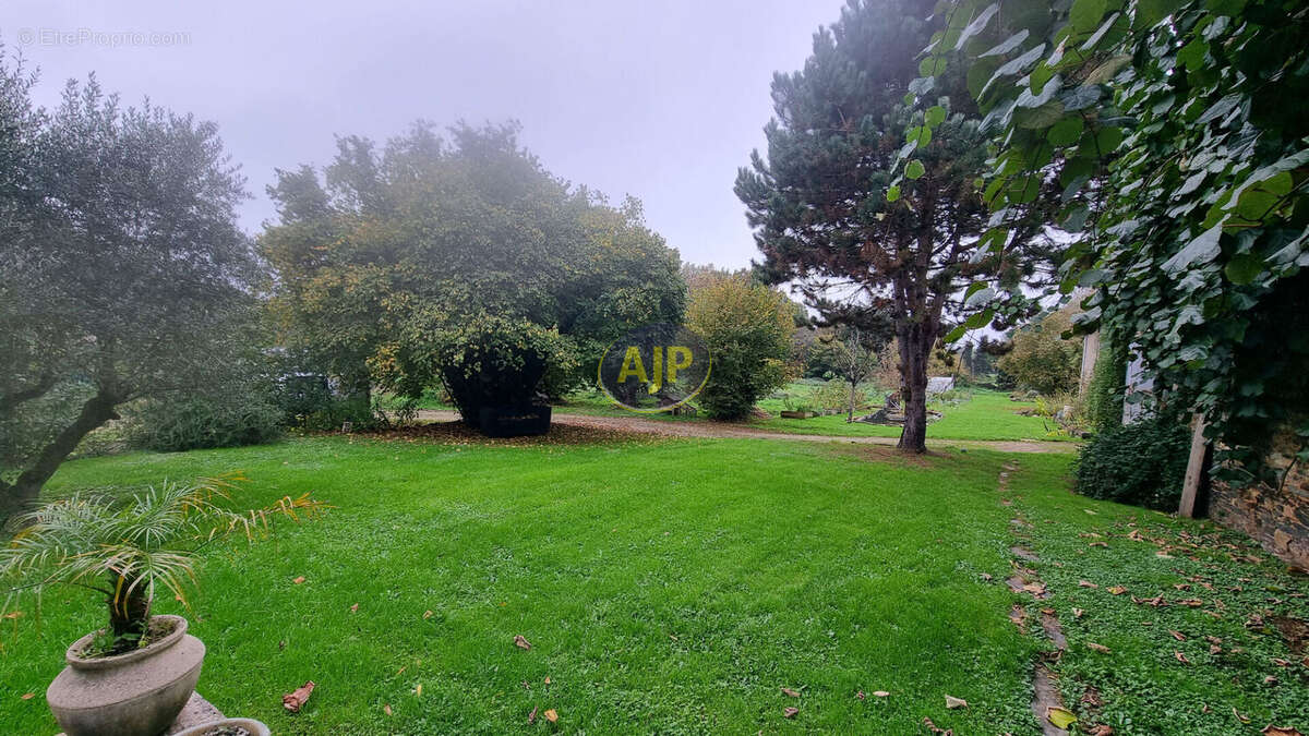 BESLE SUR VILAINE - 237 m² hab- 500 m² de Hangar - TERRAIN - photo 12
