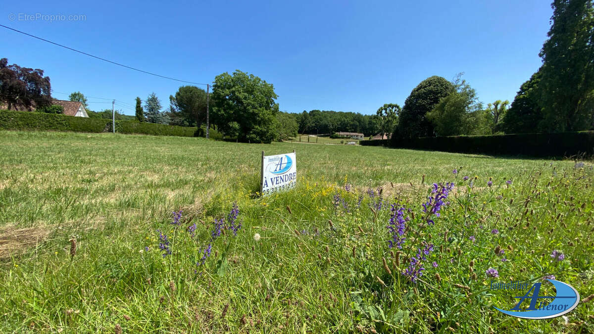 Terrain plat constructible de 1354m², 24300 Saint-Front-la-Rivière - photo 2