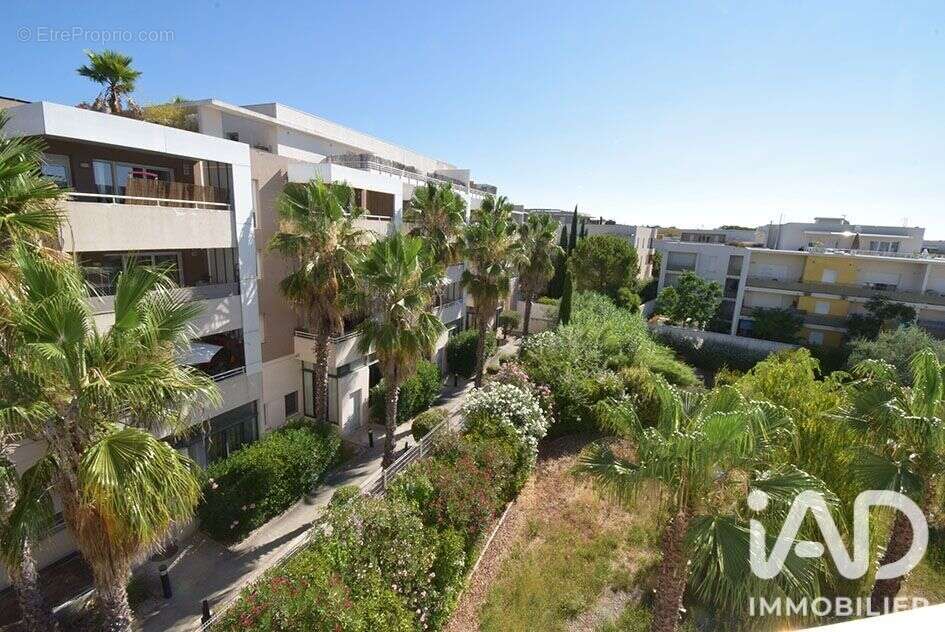 Photo 9 - Appartement à CASTELNAU-LE-LEZ