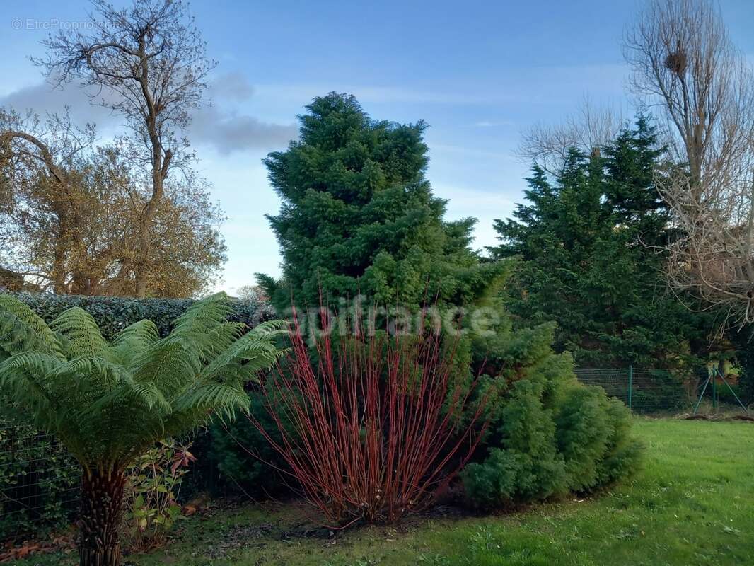 Maison contemporaine à Ossature bois TREGASTEL (22) - photo 18