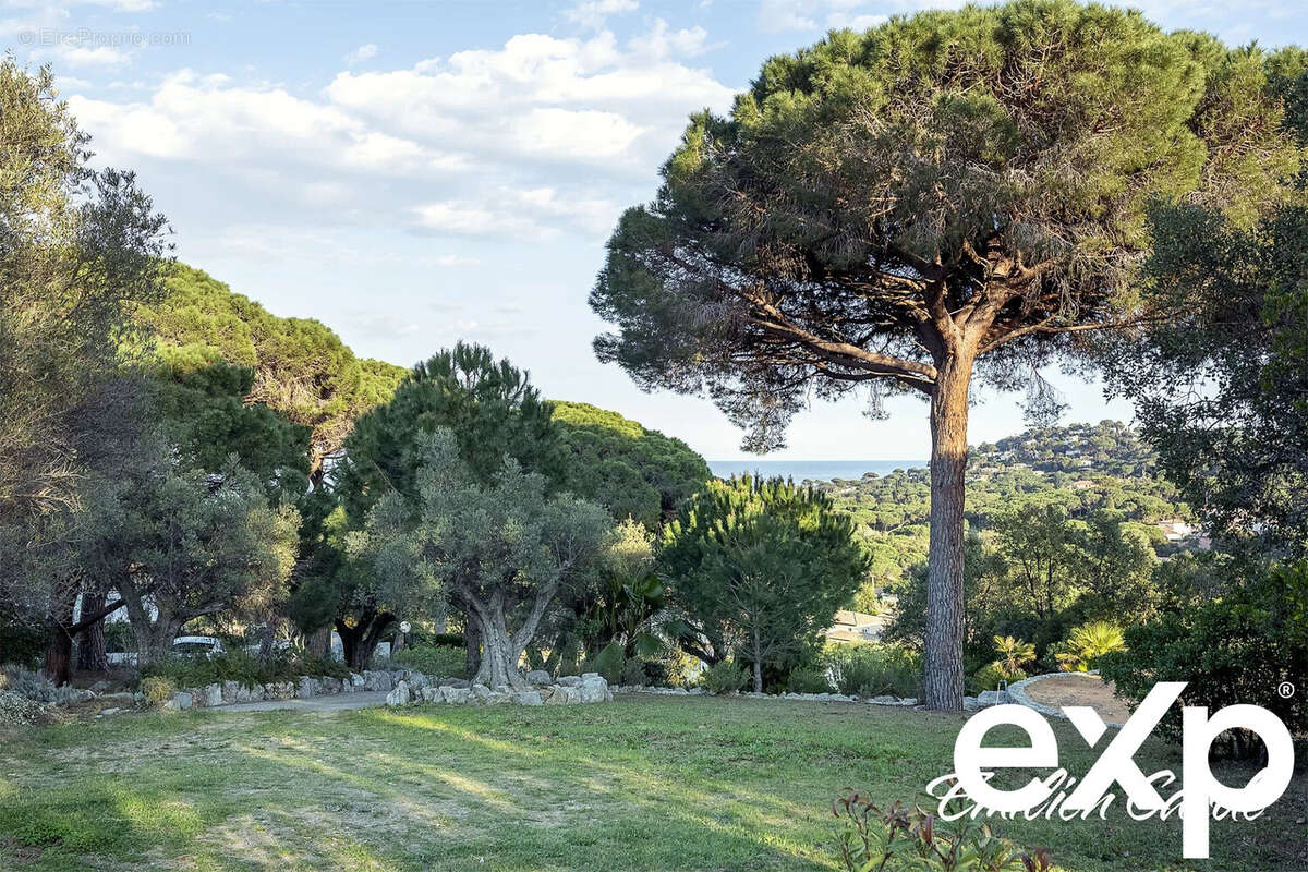 Terrain à SAINTE-MAXIME