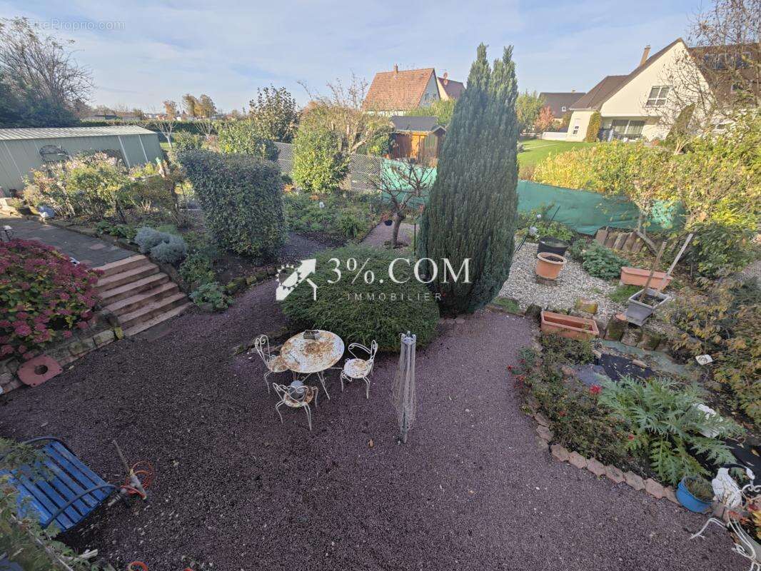 Maison à SESSENHEIM