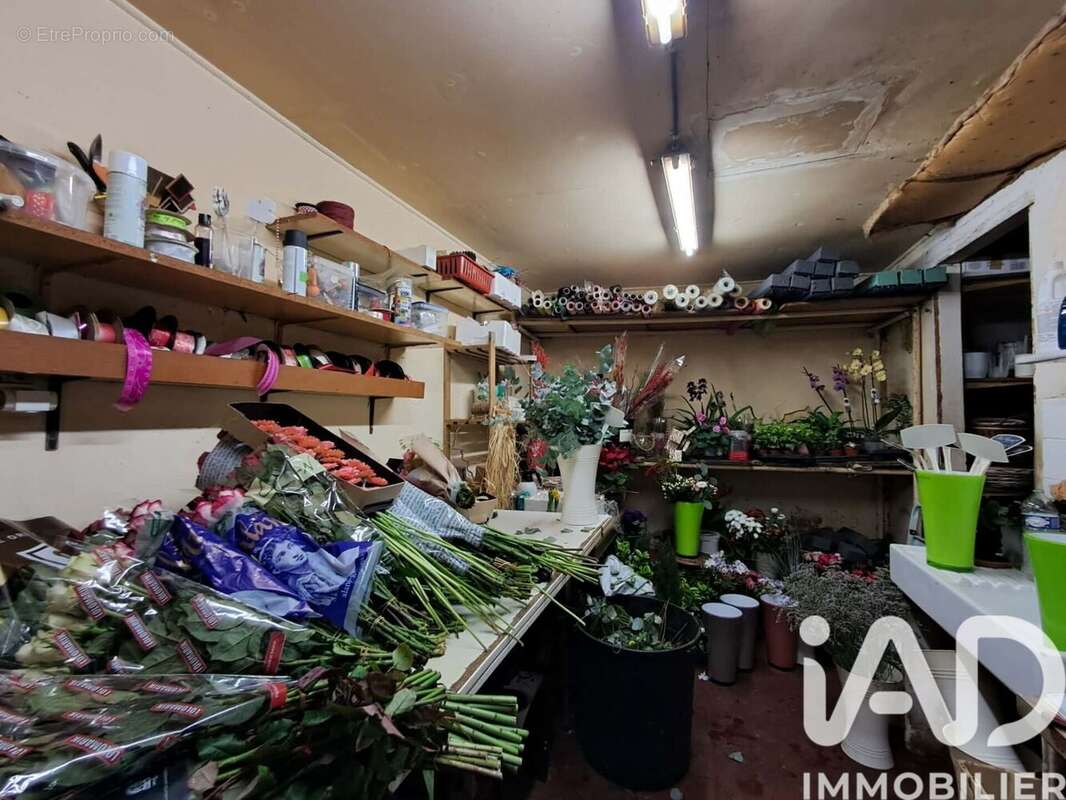 Photo 9 - Appartement à BRIENON-SUR-ARMANCON