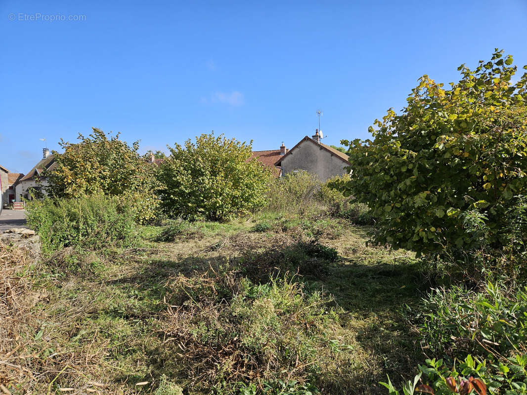 Terrain à BEAUNE