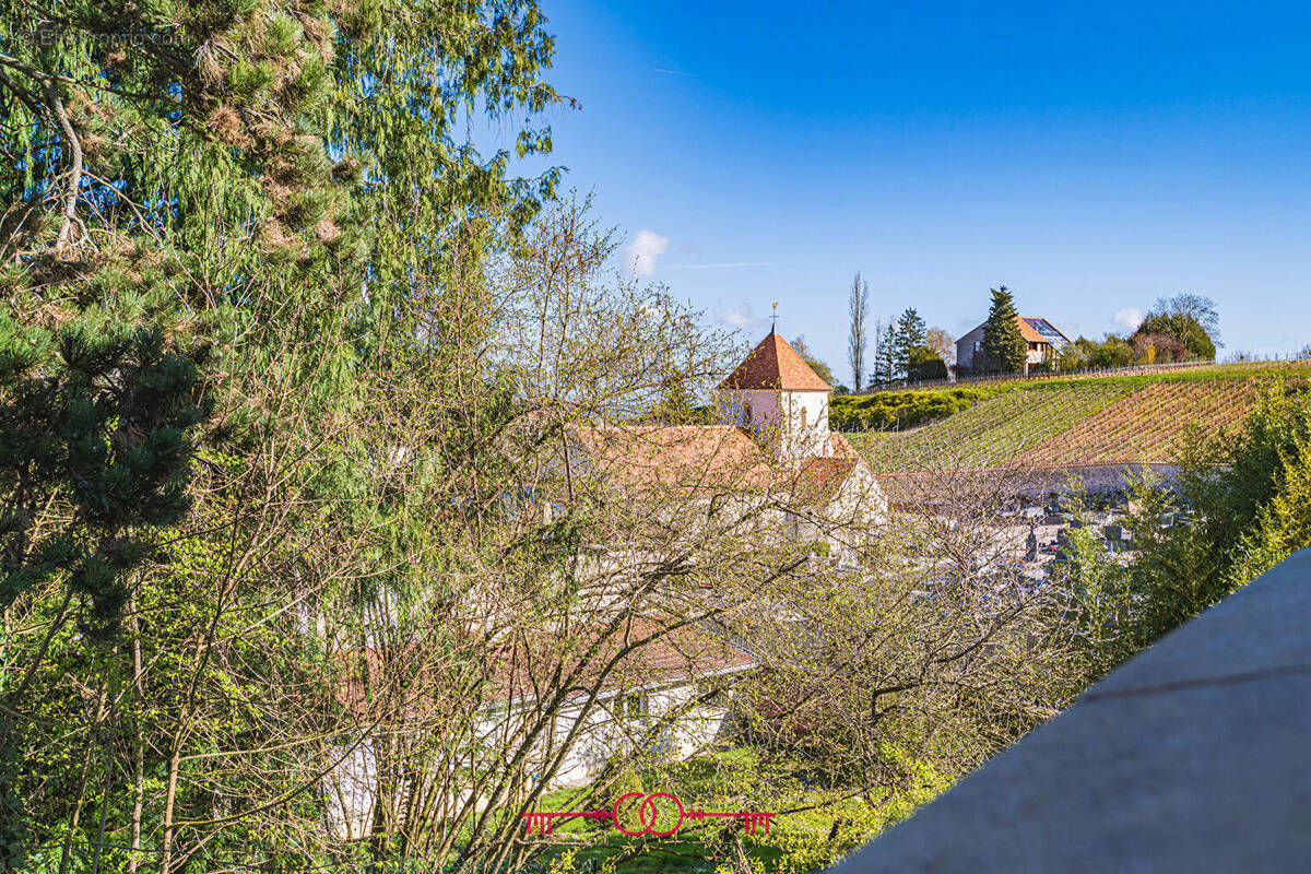 Maison à MAILLY-CHAMPAGNE