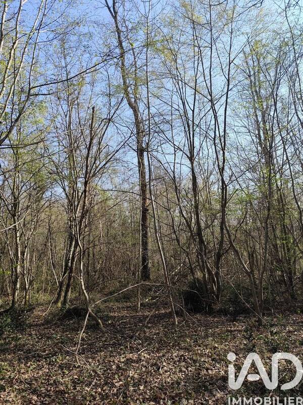 Photo 1 - Terrain à SURY-PRES-LERE