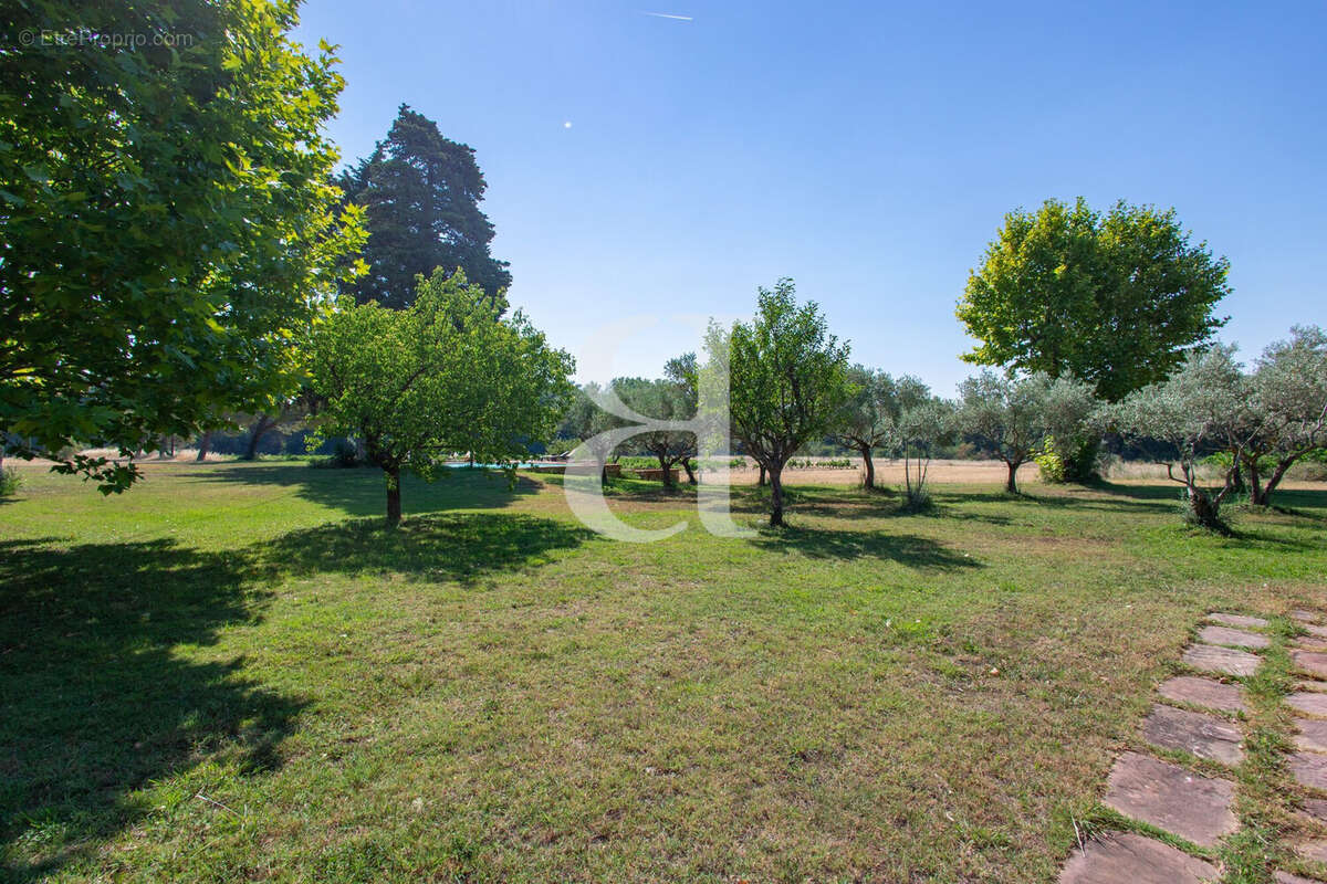 Maison 450 m² à Caromb  - photo 7
