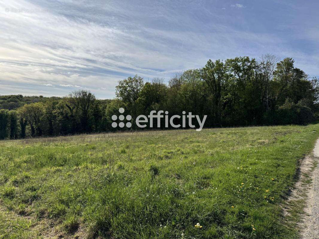 Terrain 2261 m² à Montreuil-Aux-Lions  - photo 7