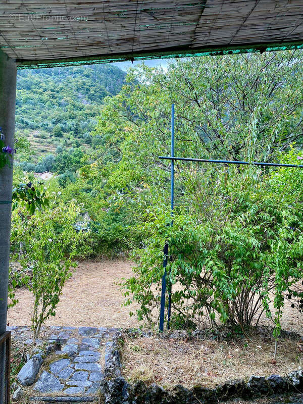 Centre village - photo 17