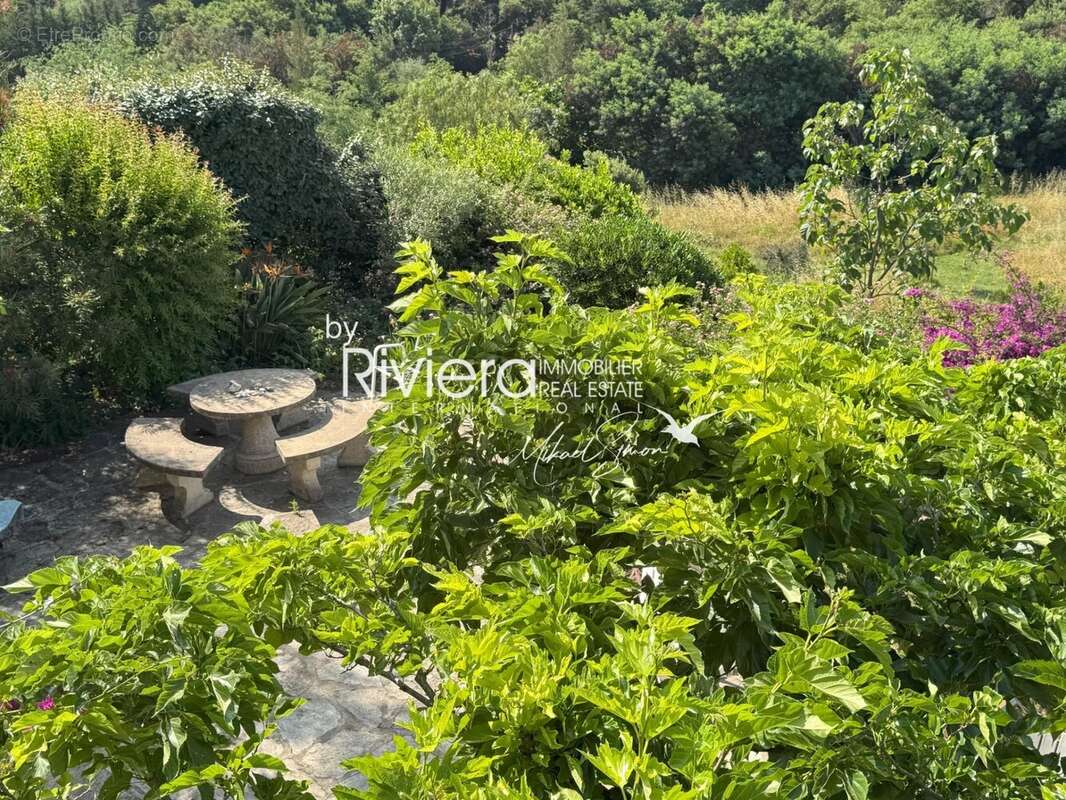 Maison à LE LAVANDOU