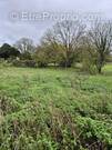 Terrain à CHAMPAGNE-VIGNY