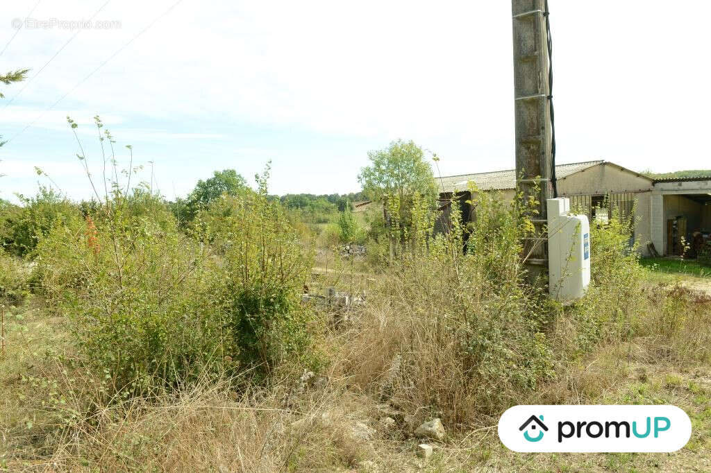 Terrain à FLORESSAS