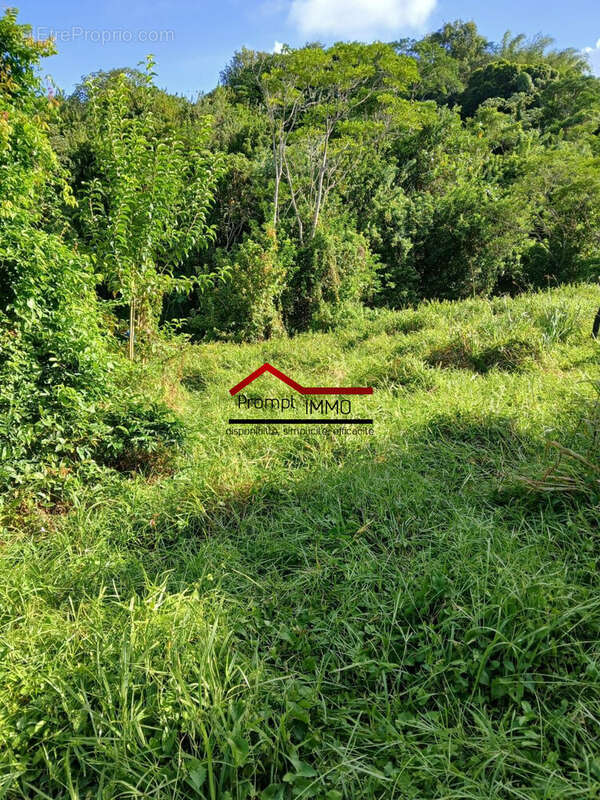 Terrain à LE ROBERT