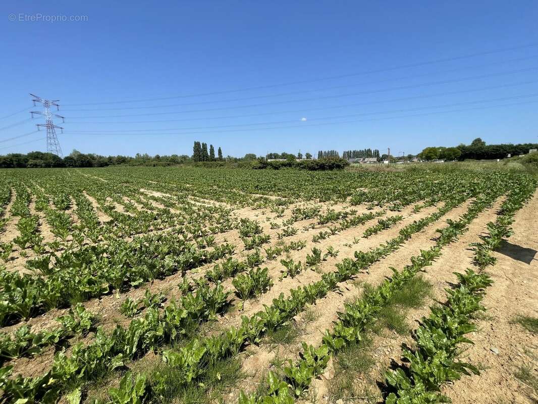 Terrain à ETREUX